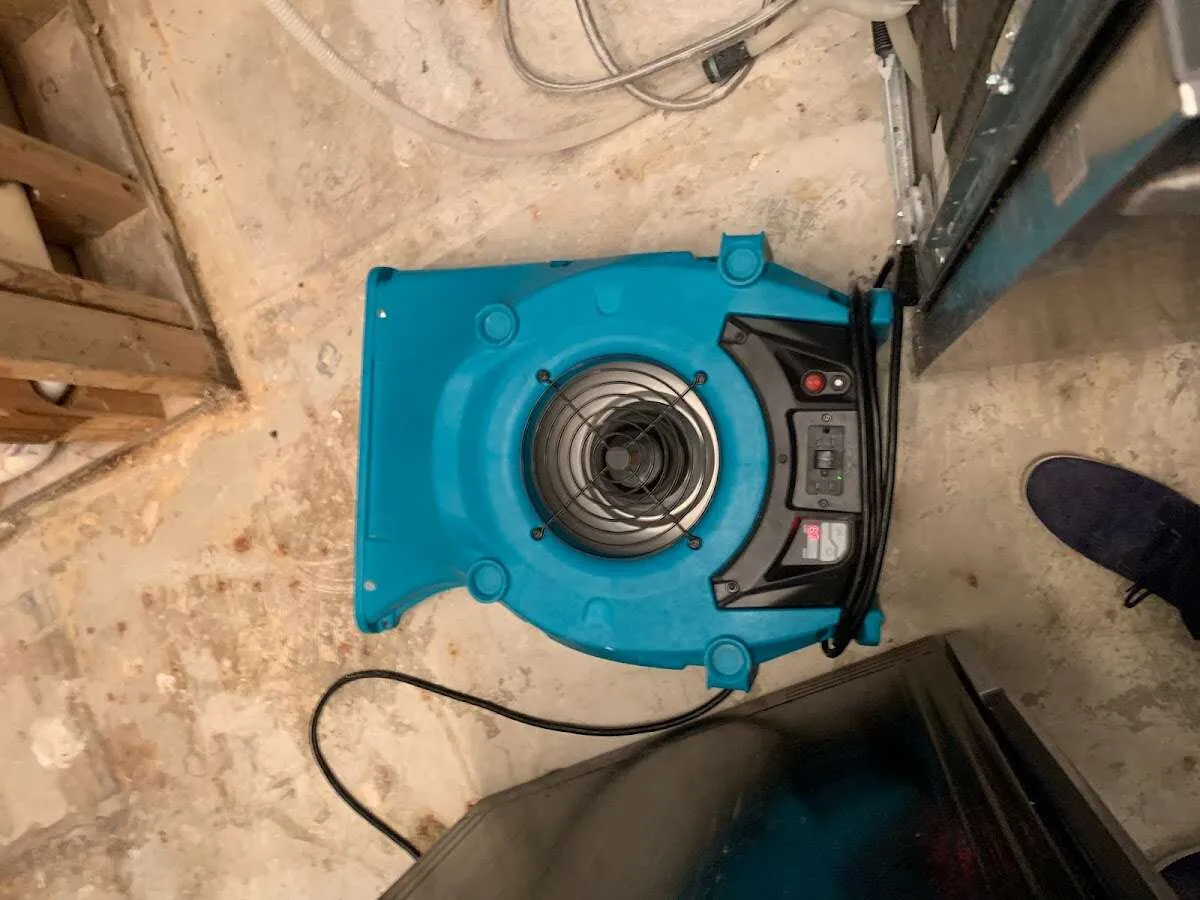 Air mover drying equipment for Mold Remediation & Removal in Center Point